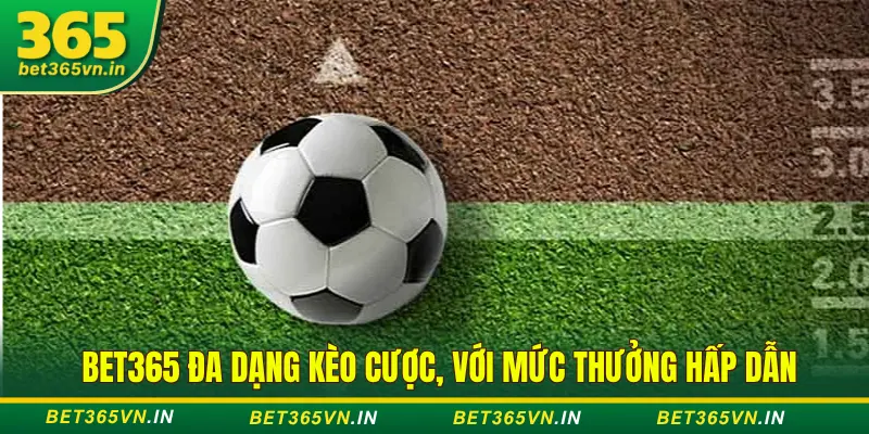 thể thao Bet365 đa dạng kèo cược