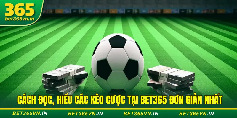 Cách đọc hiểu các loại kèo tại Bet365