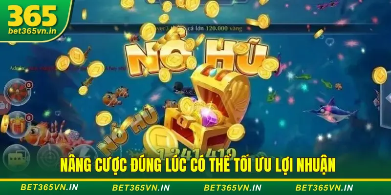 Tối ưu lợi nhuận bằng cách nâng điểm cược