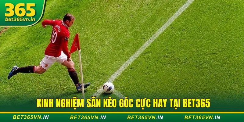 Kinh nghiệm săn kèo góc, kèo thẻ
