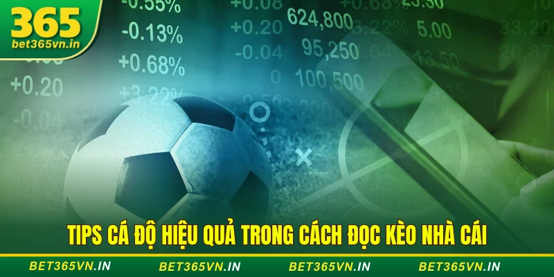 Tips cá độ hiệu quả trong cách đọc kèo nhà cái